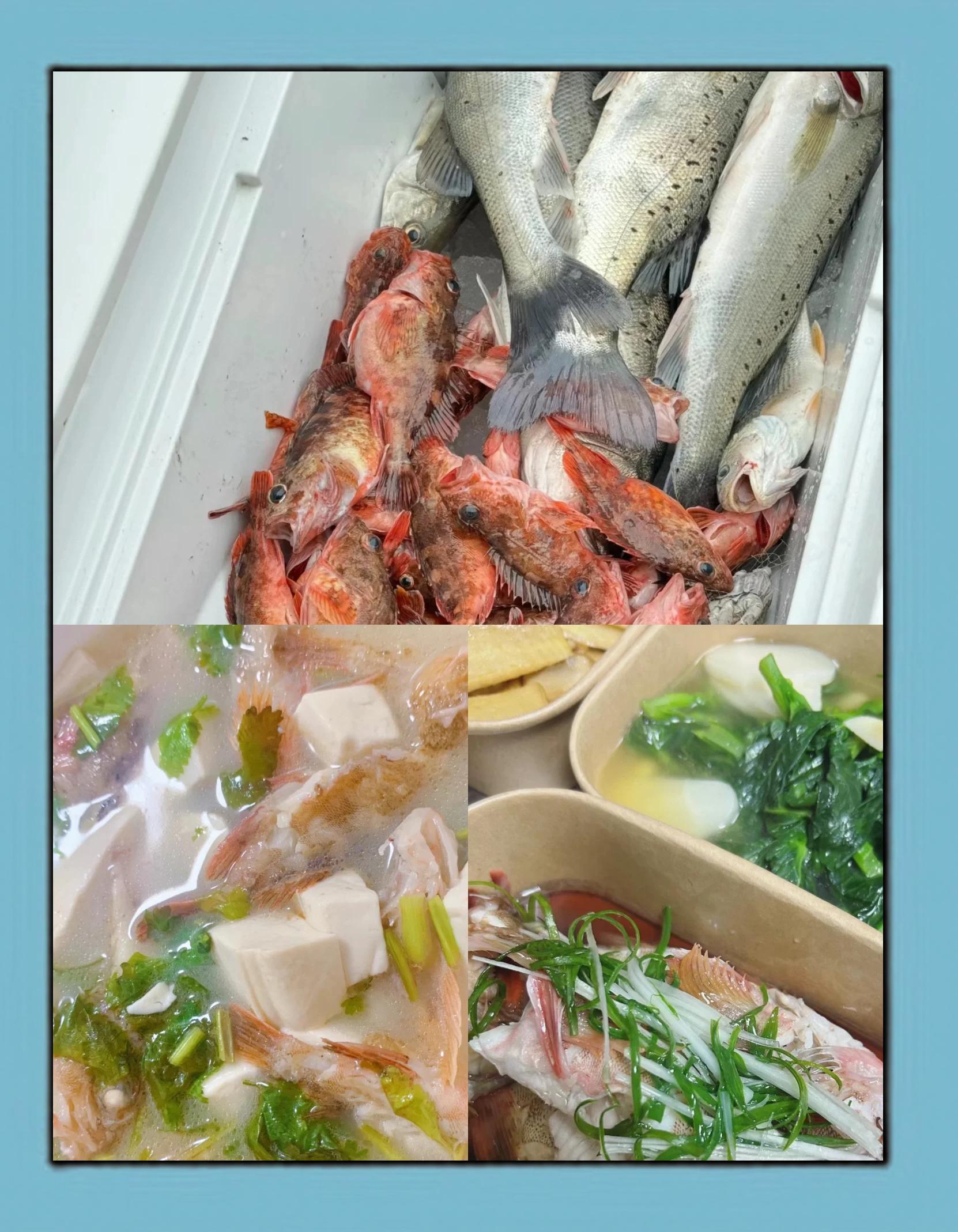 舟山群岛海钓(舟山群岛海钓多少钱) 舟山群岛海钓(舟山群岛海钓多少钱)