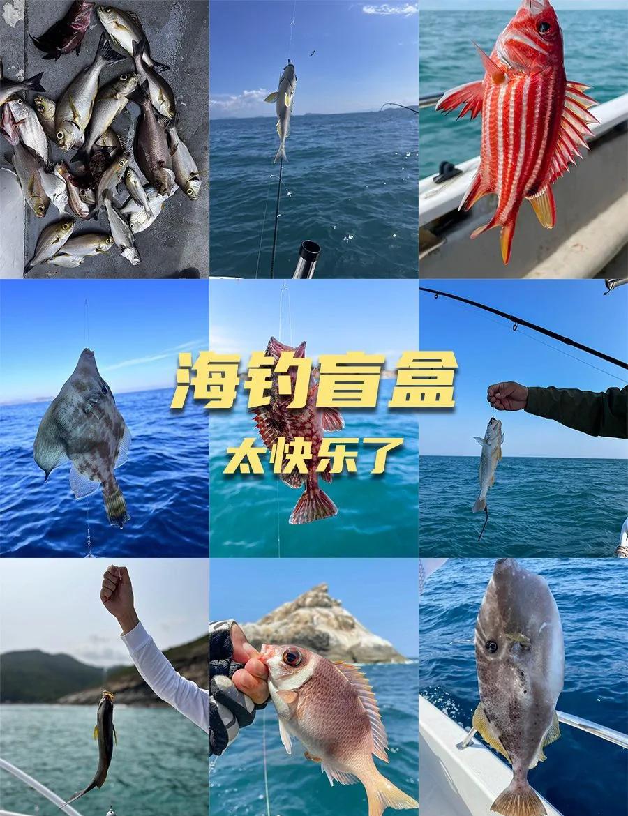 南海钓鱼晕船(去南海海钓怎么收费) 南海钓鱼晕船(去南海海钓怎么收费)