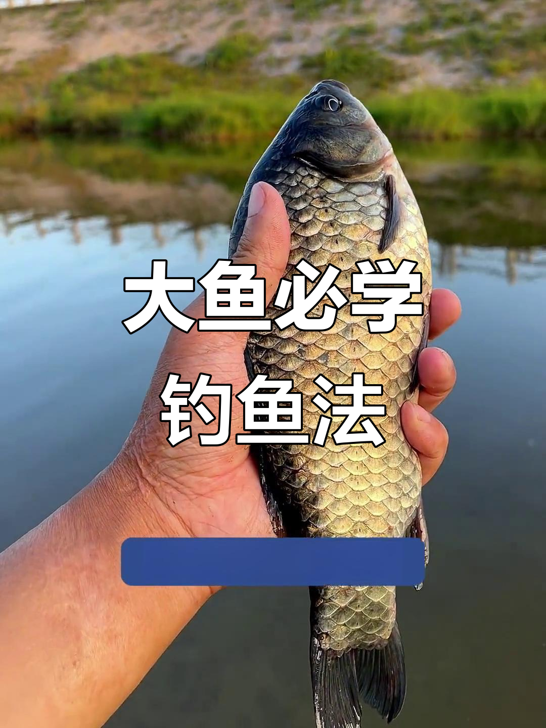 早晨钓大鱼技巧(早晨钓大鱼技巧视频)