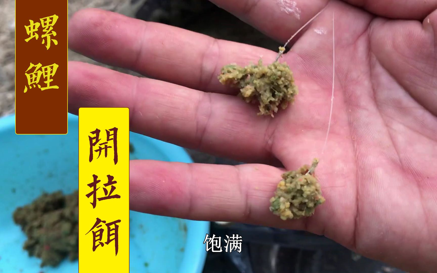 春秋螺鲤饵料价格(春季钓鱼螺鲤怎么用) 春秋螺鲤饵料价格(春季钓鱼螺鲤怎么用)