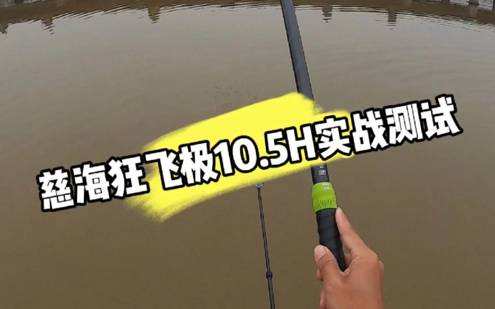 飞鱼两斤鲤鱼技巧(飞二斤鲤鱼用几h鱼竿) 飞鱼两斤鲤鱼技巧(飞二斤鲤鱼用几h鱼竿)