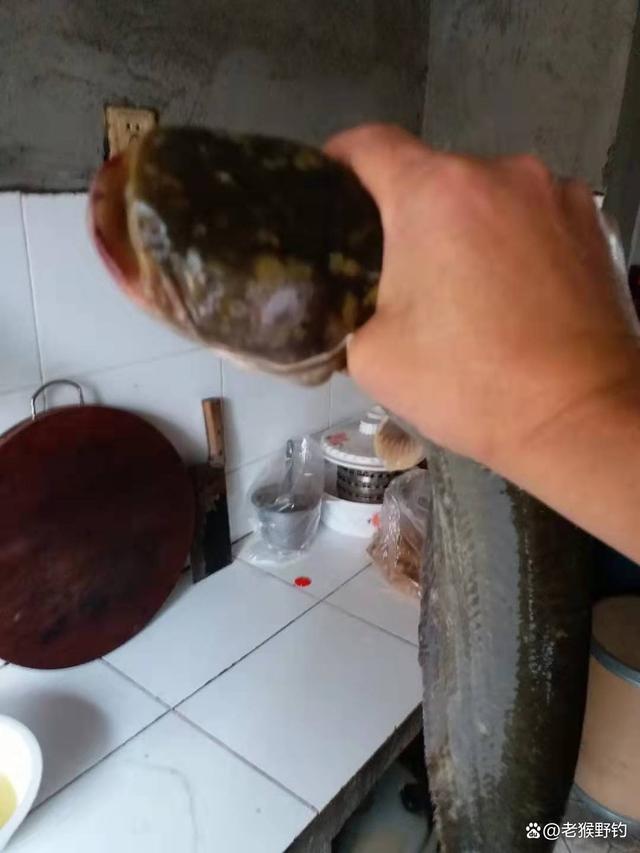 入秋鱼不吃饵料(秋天鱼不吃钓是怎么回事) 入秋鱼不吃饵料(秋天鱼不吃钓是怎么回事)