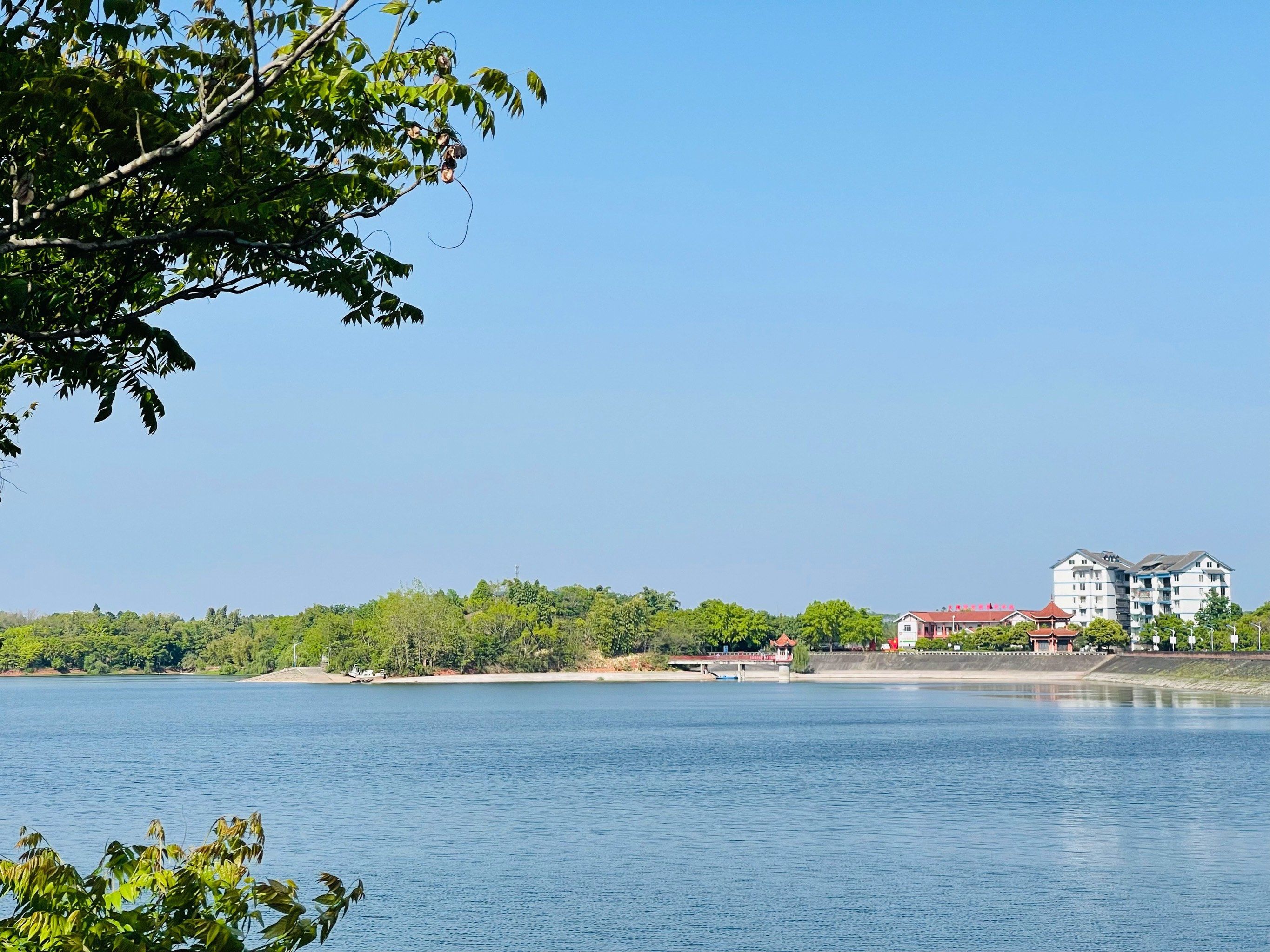 大佛水库路亚(为什么钓场禁止路亚) 大佛水库路亚(为什么钓场禁止路亚)
