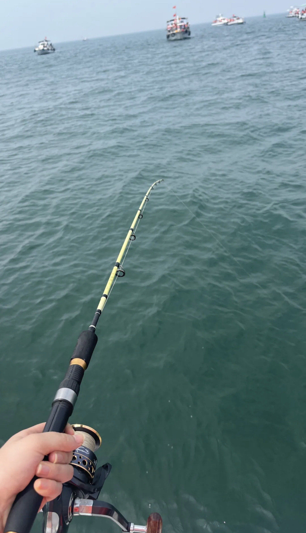 乐东海钓(海南乐东钓鱼) 乐东海钓(海南乐东钓鱼)