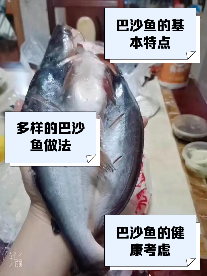 沙巴哪里海钓便宜(沙巴附近哪个海岛最好) 沙巴哪里海钓便宜(沙巴附近哪个海岛最好)