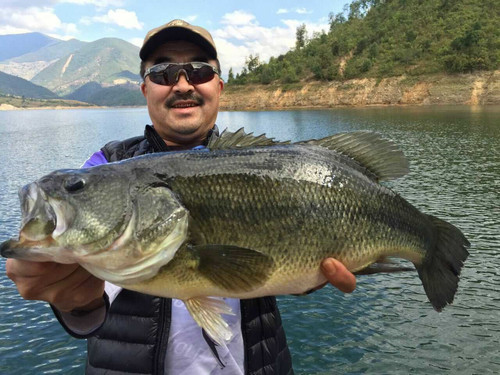 久扬渔具旗舰店(扬州久扬渔具鱼竿价格) 久扬渔具旗舰店(扬州久扬渔具鱼竿价格)