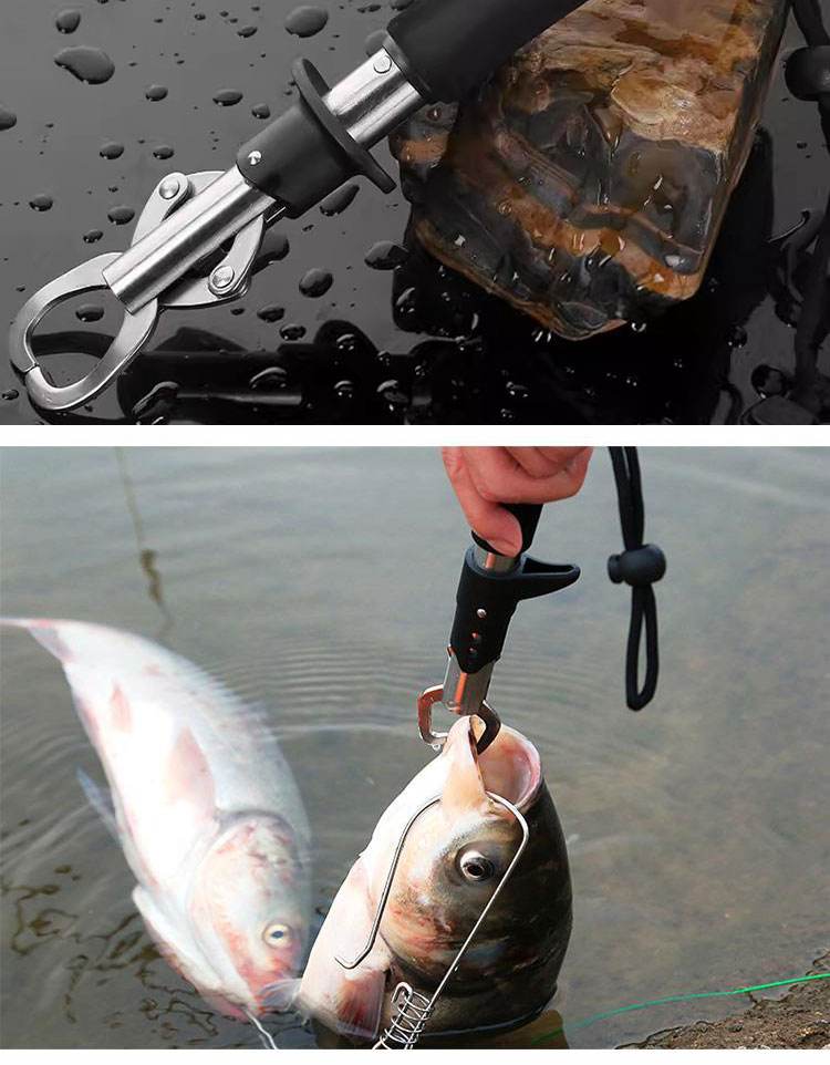 鱼世渔具(鱼友世界)