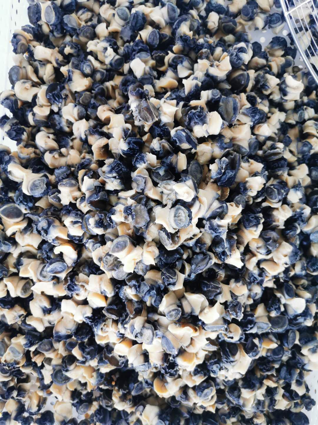 田螺肉为做饵料(田螺肉做鱼饵) 田螺肉为做饵料(田螺肉做鱼饵)