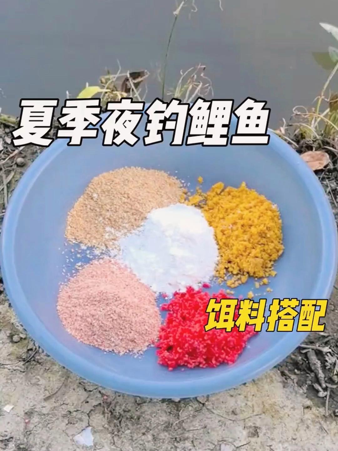 春季夜钓开饵技巧(春季夜钓鱼开口时间) 春季夜钓开饵技巧(春季夜钓鱼开口时间)