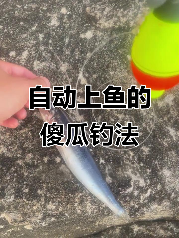 海钓梭鱼的钓组(海钓梭鱼钓组配置方法) 海钓梭鱼的钓组(海钓梭鱼钓组配置方法)