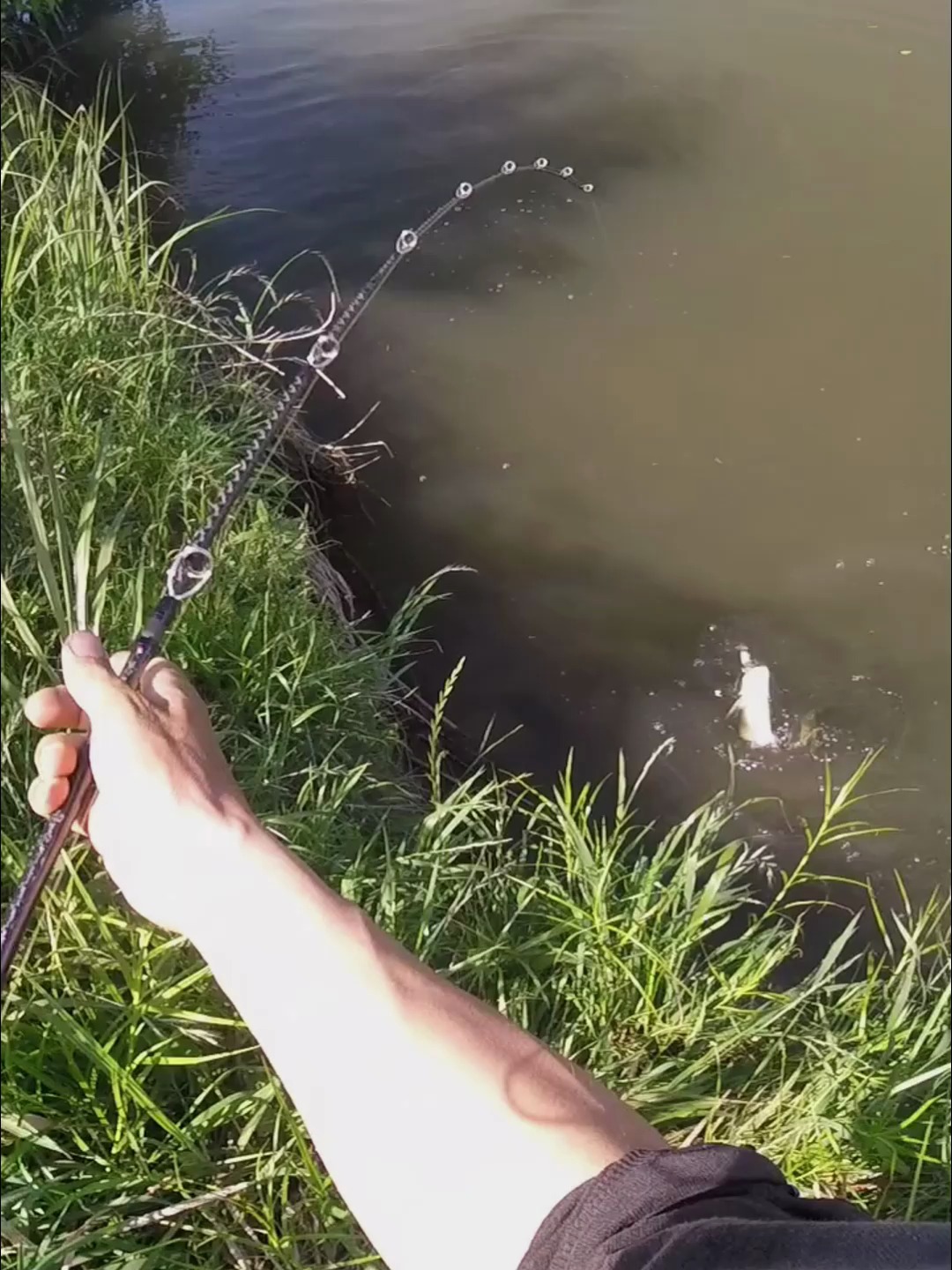 路亚饵钓鲶鱼(路亚钓鲶鱼怎么钓) 路亚饵钓鲶鱼(路亚钓鲶鱼怎么钓)