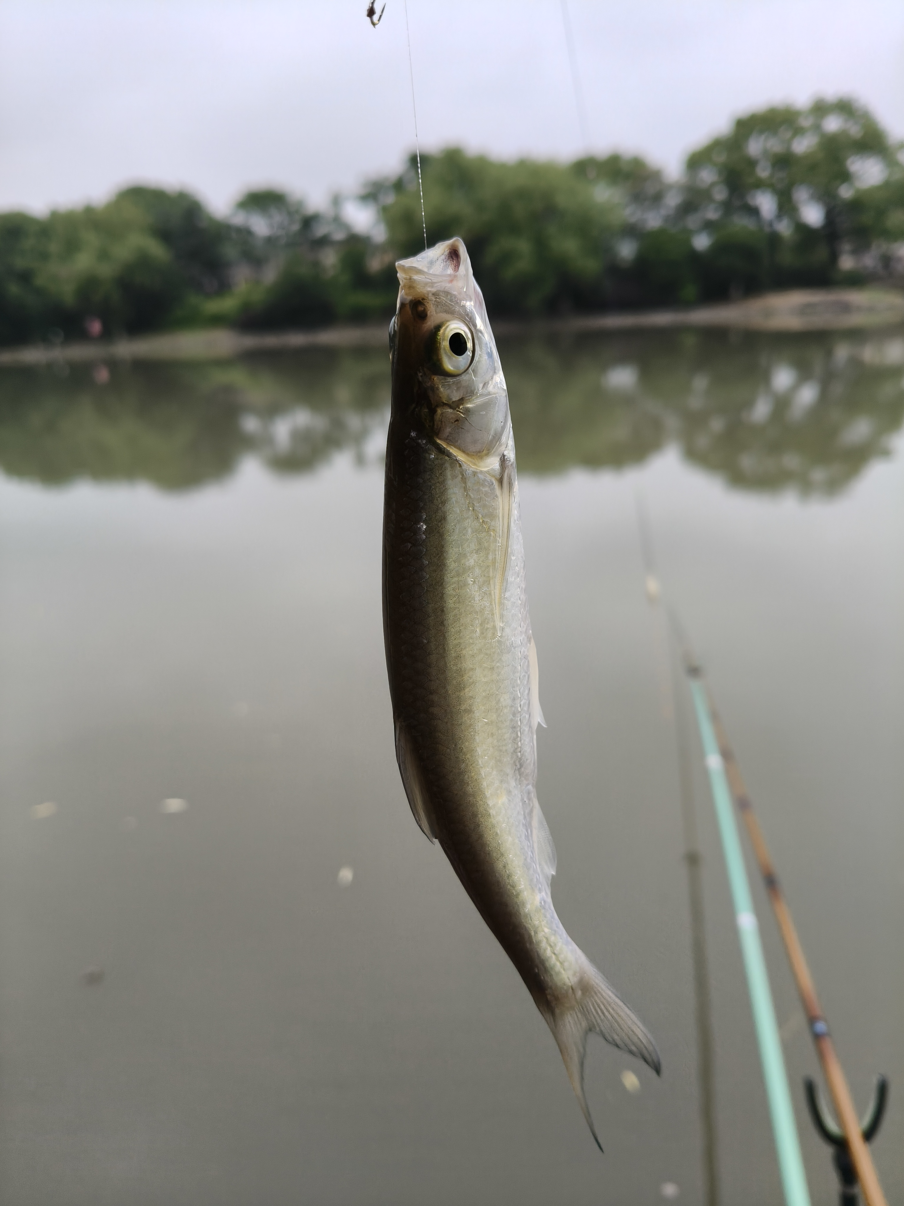 海钓田永梅(蝴蝶海免费观看) 海钓田永梅(蝴蝶海免费观看)