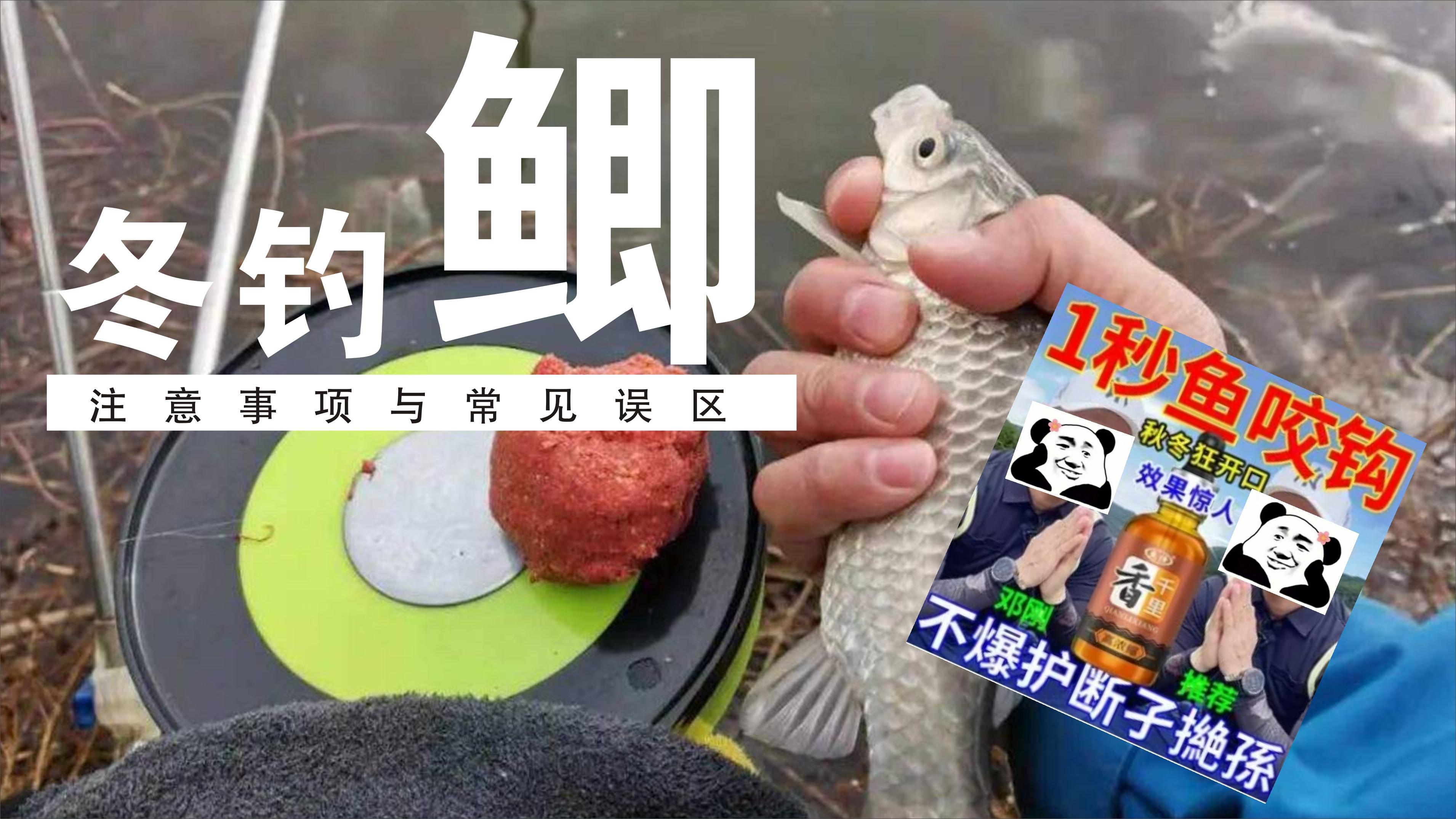 南方初冬钓大板鲫技巧(冬季野钓大板鲫有什么技巧) 南方初冬钓大板鲫技巧(冬季野钓大板鲫有什么技巧)