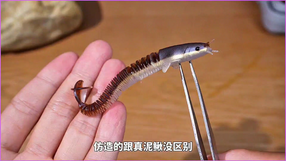 野钓泥鳅技巧(钓泥鳅的钓饵和钓法详解) 野钓泥鳅技巧(钓泥鳅的钓饵和钓法详解)