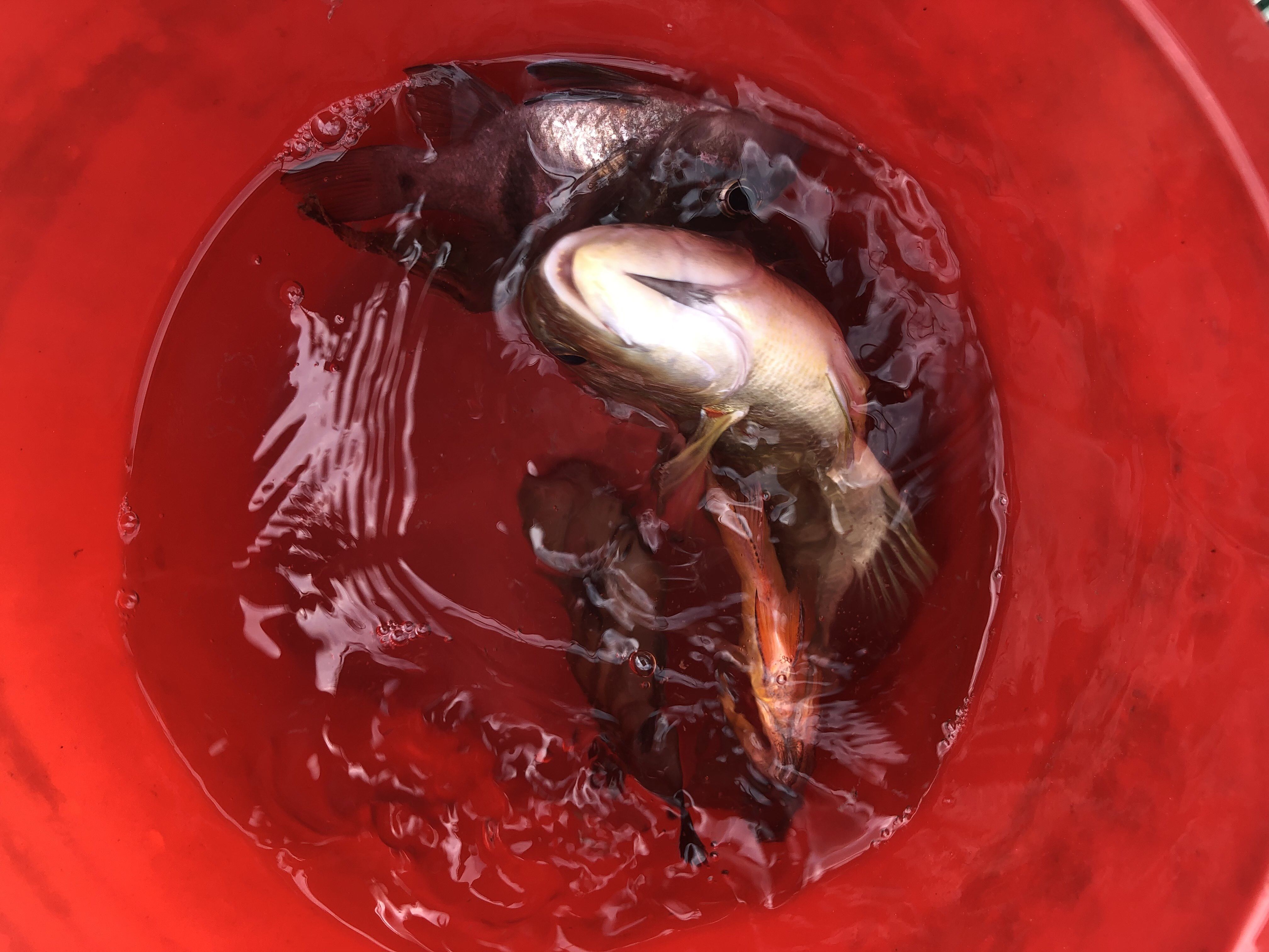 东营港海钓电话(东营港海钓地点) 东营港海钓电话(东营港海钓地点)