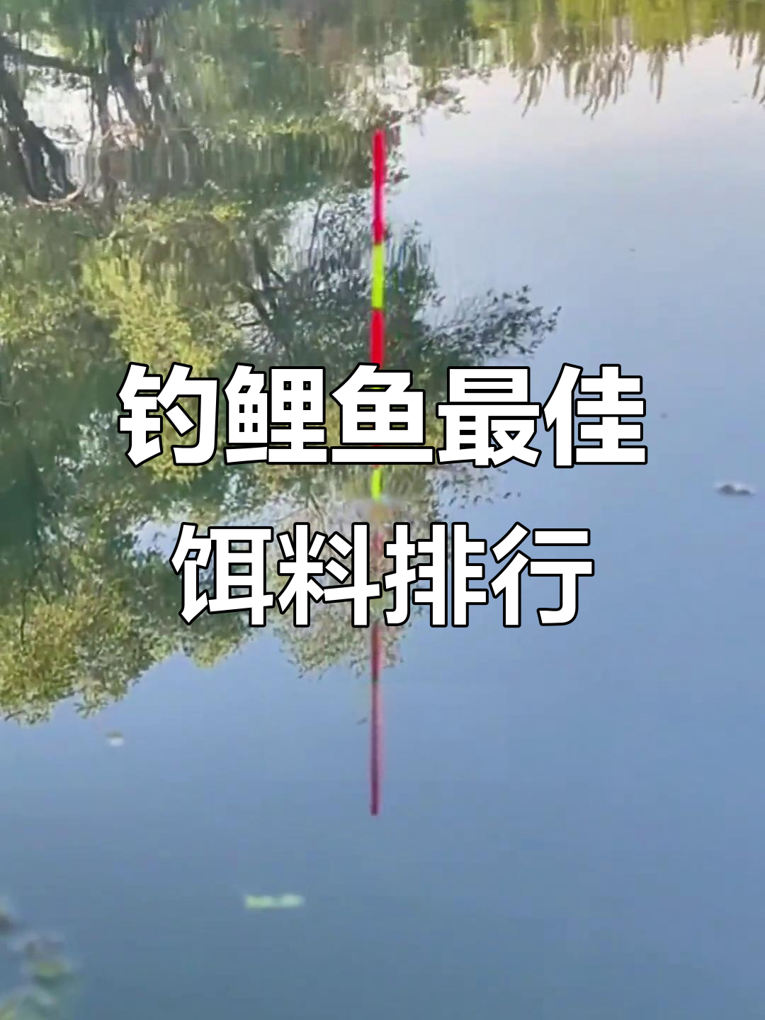 春季钓鲤鱼用什么饵料(春季钓鲤鱼用什么饵料最好) 春季钓鲤鱼用什么饵料(春季钓鲤鱼用什么饵料最好)