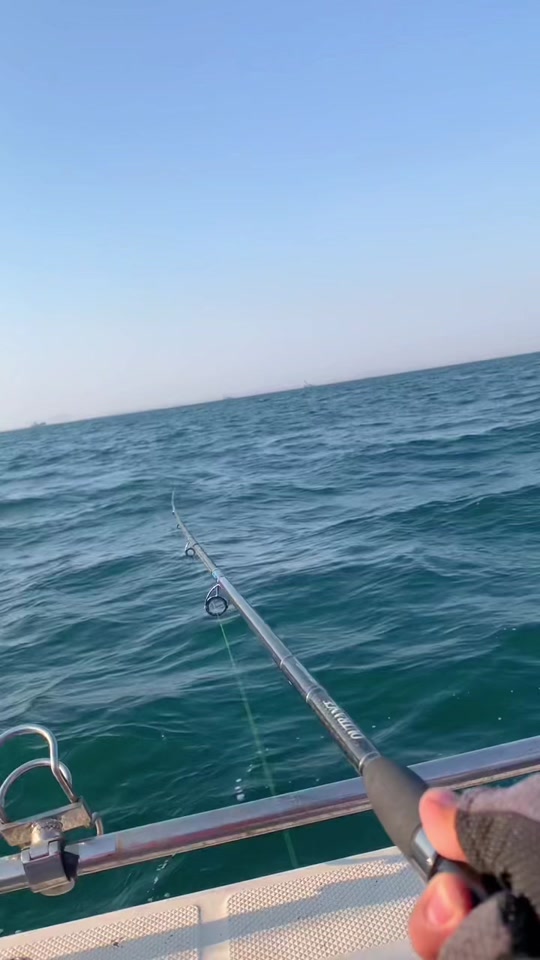 龙口海钓用什么钓具(龙口海钓现在开始了吗?) 龙口海钓用什么钓具(龙口海钓现在开始了吗?)