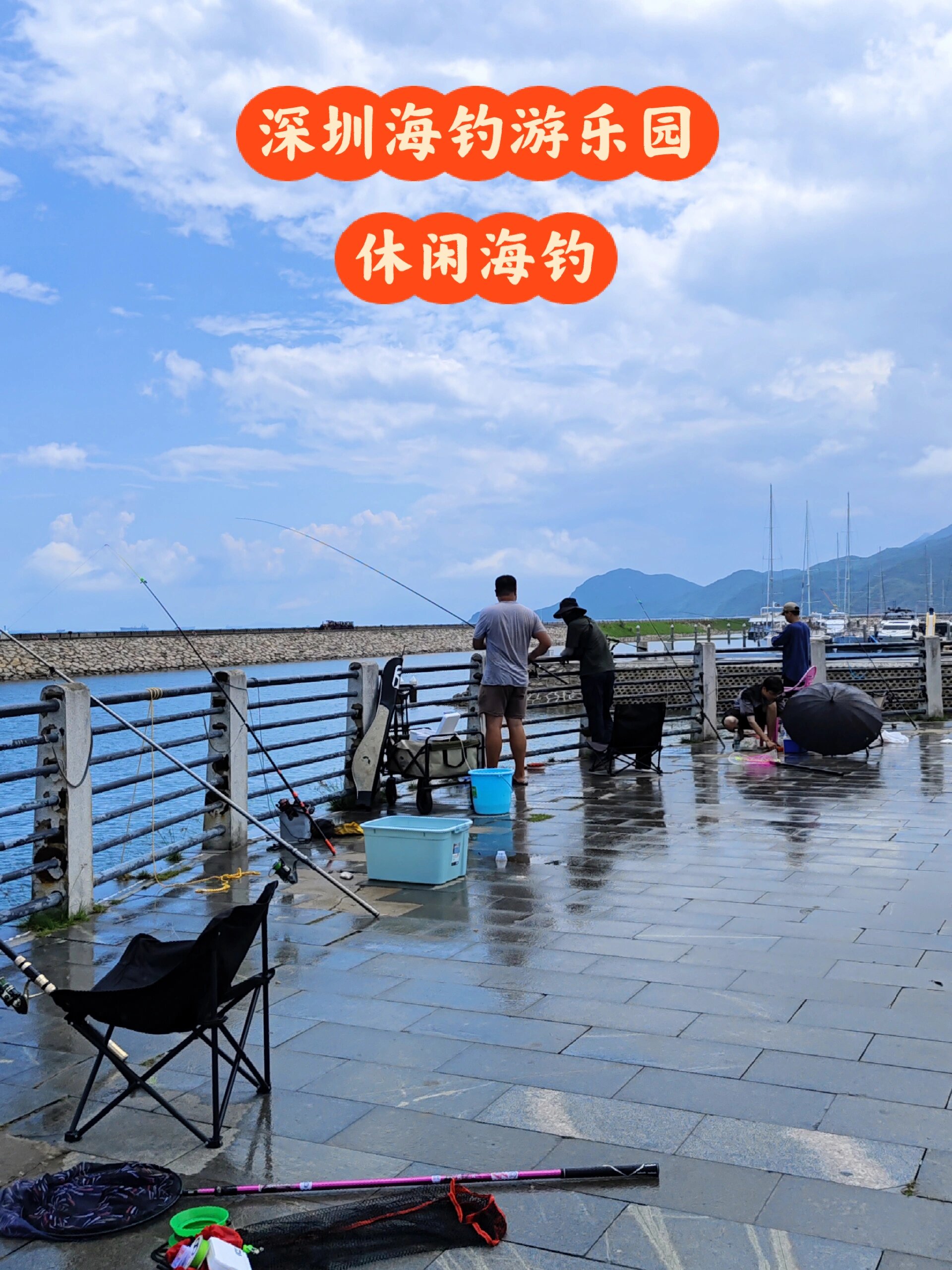 深海海钓地方(深海海钓鱼价格) 深海海钓地方(深海海钓鱼价格)
