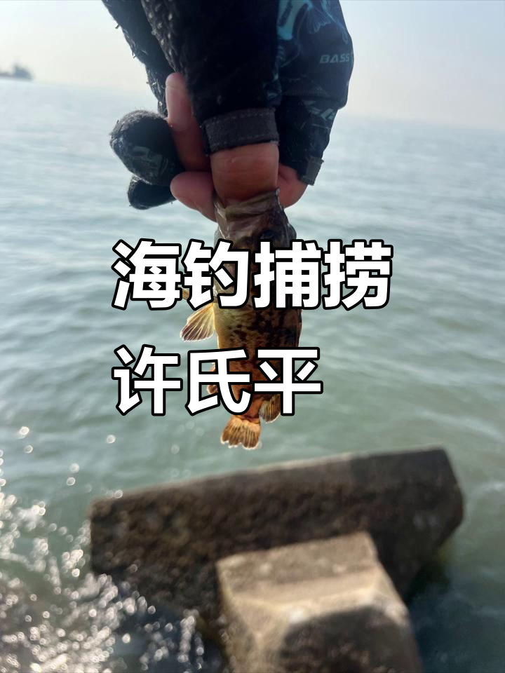 曹妃甸冬天海钓(2021年曹妃甸海钓)