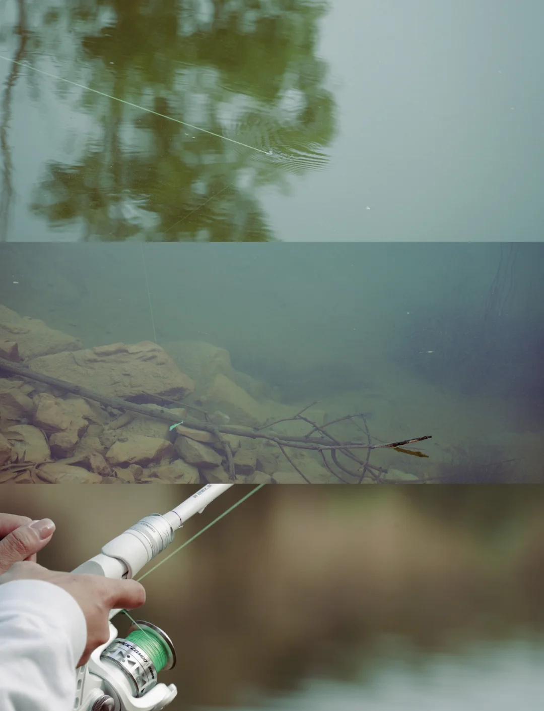 路亚不攻击(路亚鱼不咬钩)