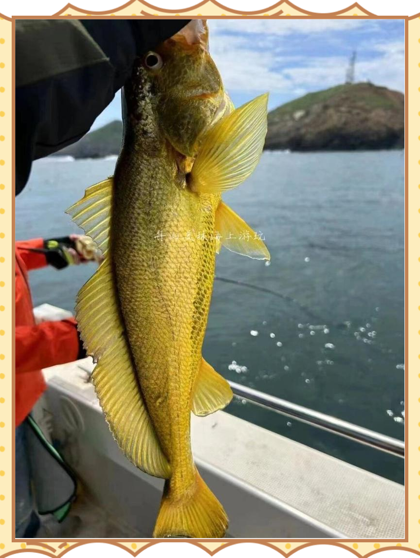 舟山海钓联系方式(舟山海钓电话) 舟山海钓联系方式(舟山海钓电话)