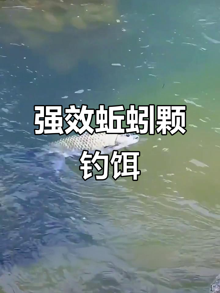 给蚯蚓加饵料养(给蚯蚓加饵料养什么鱼) 给蚯蚓加饵料养(给蚯蚓加饵料养什么鱼)