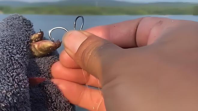 海钓钩泥鳅方法(海钓钩泥鳅方法视频) 海钓钩泥鳅方法(海钓钩泥鳅方法视频)