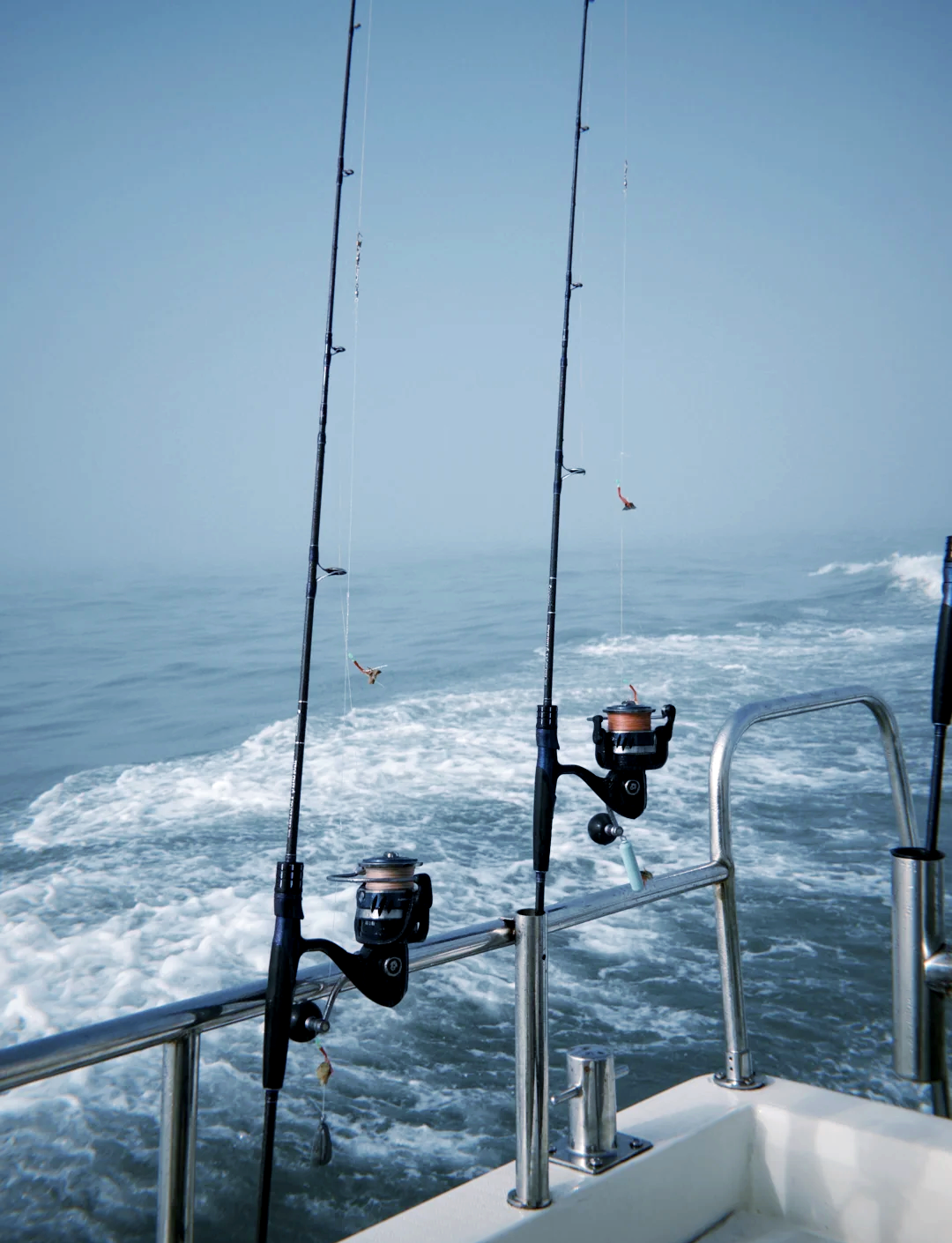 龙海市区海钓(海钓常见鱼类图鉴) 龙海市区海钓(海钓常见鱼类图鉴)