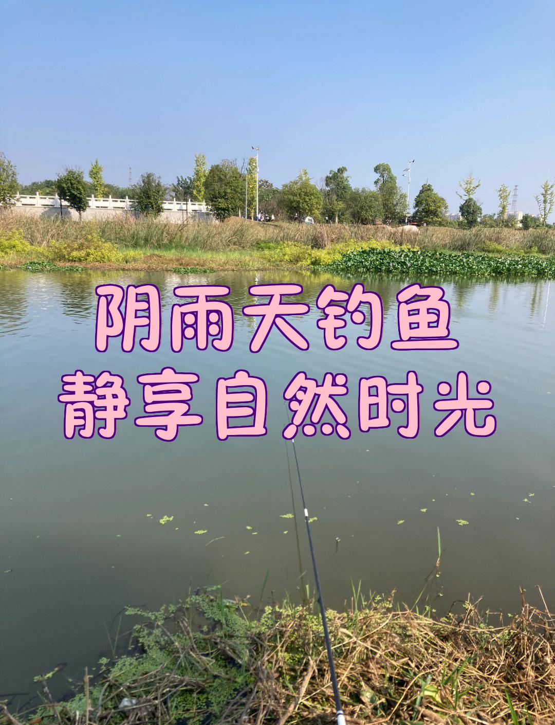 阴雨天气钓鱼技巧(阴雨天气怎么钓鱼) 阴雨天气钓鱼技巧(阴雨天气怎么钓鱼)