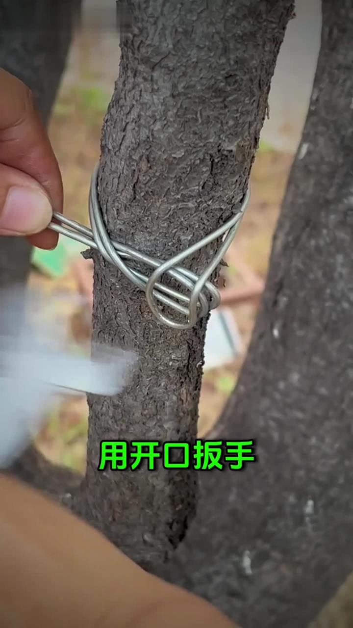 铁丝收紧技巧图解(铁丝怎么拧紧方法) 铁丝收紧技巧图解(铁丝怎么拧紧方法)