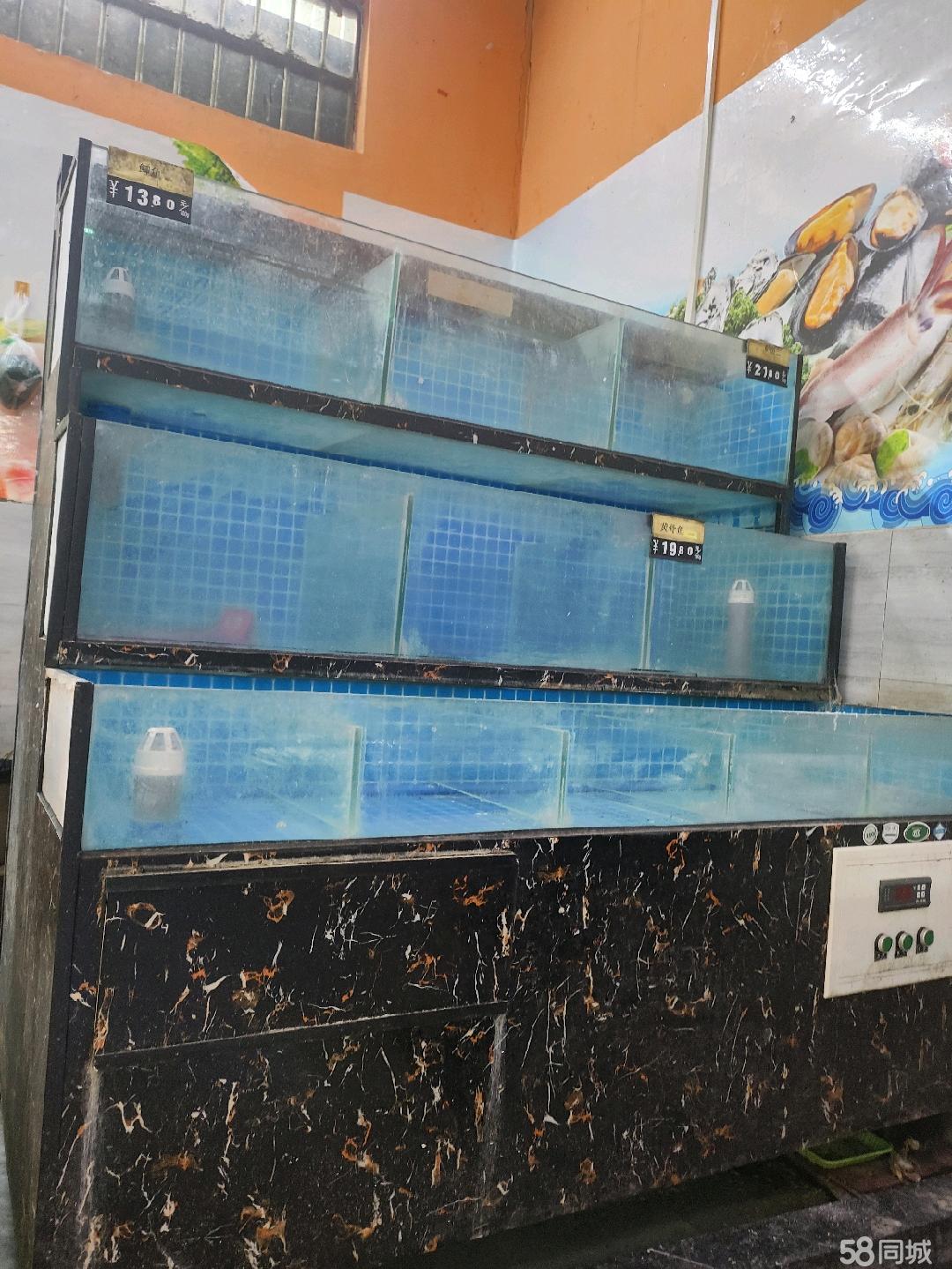 广西南宁渔具店(广西南宁渔具店有哪些) 广西南宁渔具店(广西南宁渔具店有哪些)