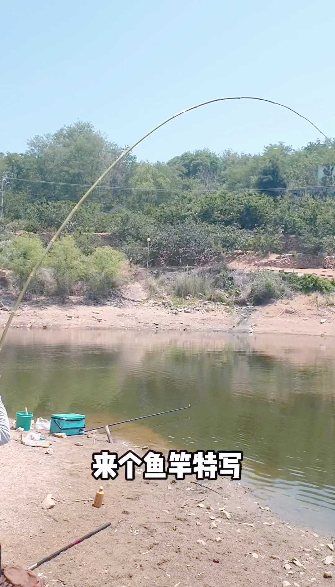 钓青鱼饵料实战(钓青鱼鱼饵) 钓青鱼饵料实战(钓青鱼鱼饵)