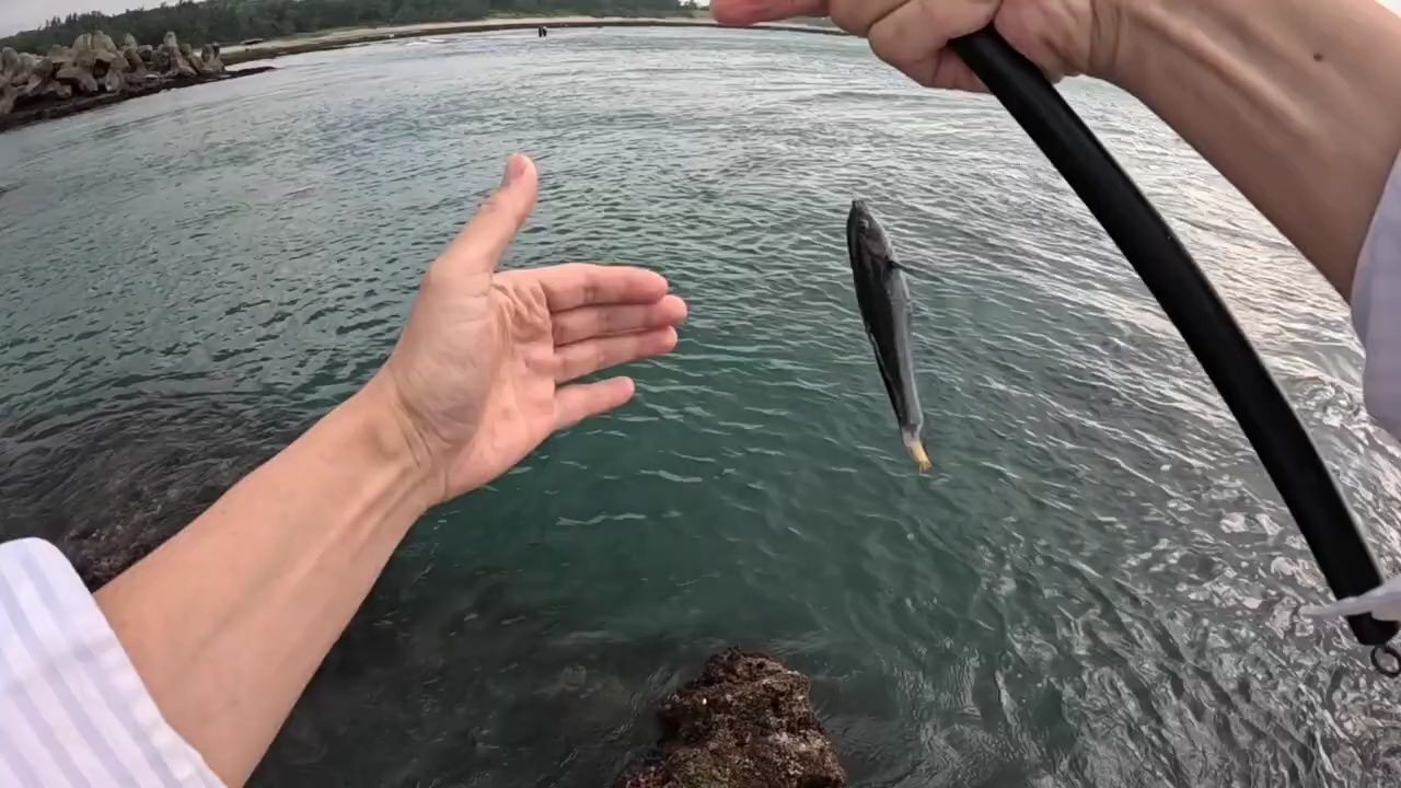 夏季手竿海钓(夏季海竿钓鱼技巧)