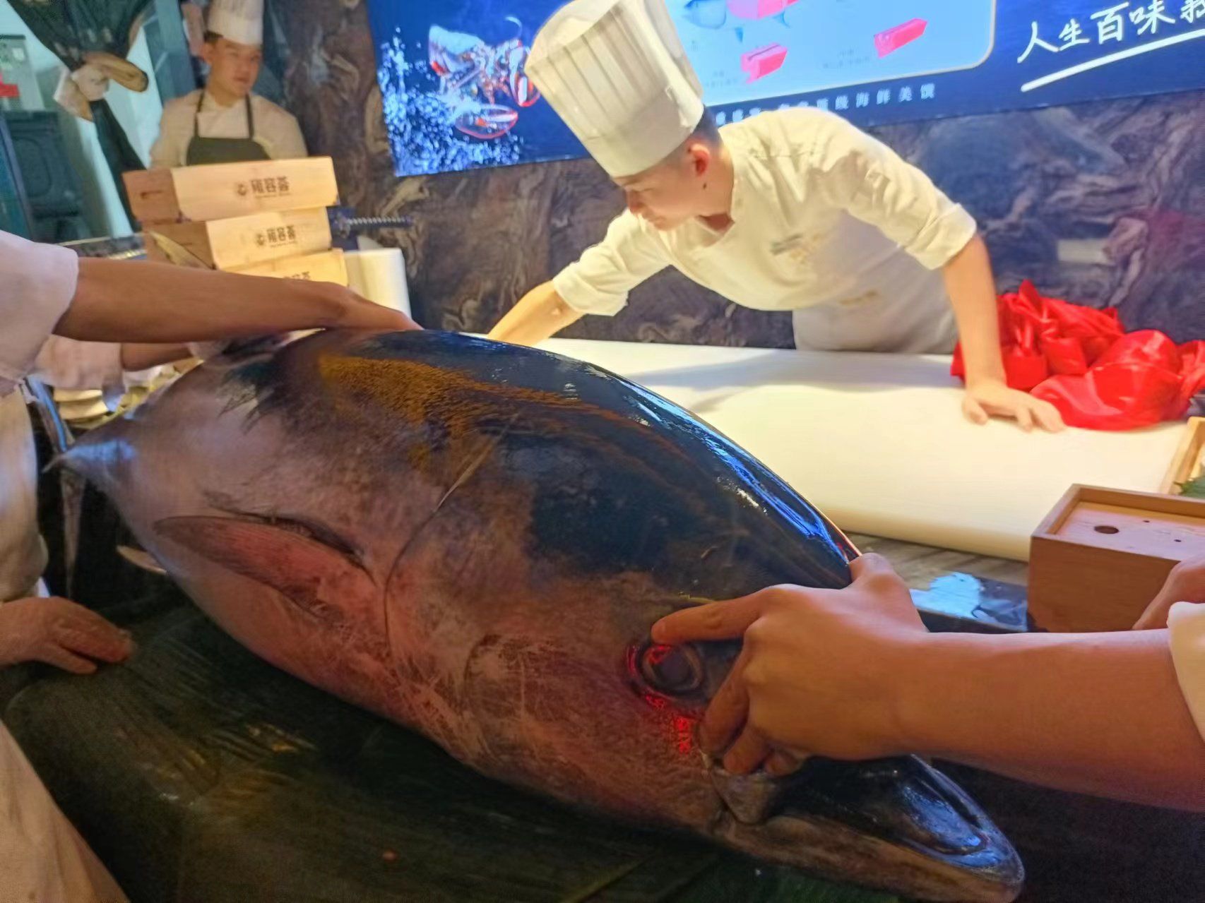 蓝鳍鱼渔具(山东渔具生产厂家)