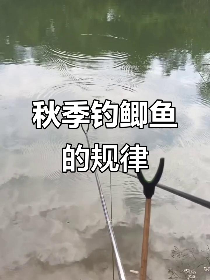 深秋春季钓鱼技巧(深秋春季钓鱼技巧和方法) 深秋春季钓鱼技巧(深秋春季钓鱼技巧和方法)
