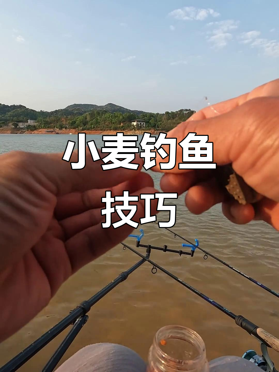 小麦饵料怎么钓鱼(小麦钓鱼饵料做法视频) 小麦饵料怎么钓鱼(小麦钓鱼饵料做法视频)