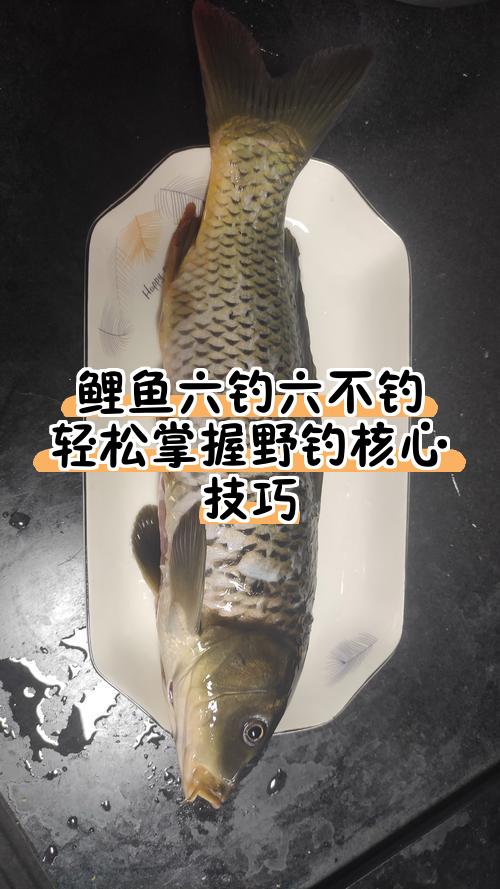 4月份野钓技巧(四月份如何钓鱼) 4月份野钓技巧(四月份如何钓鱼)