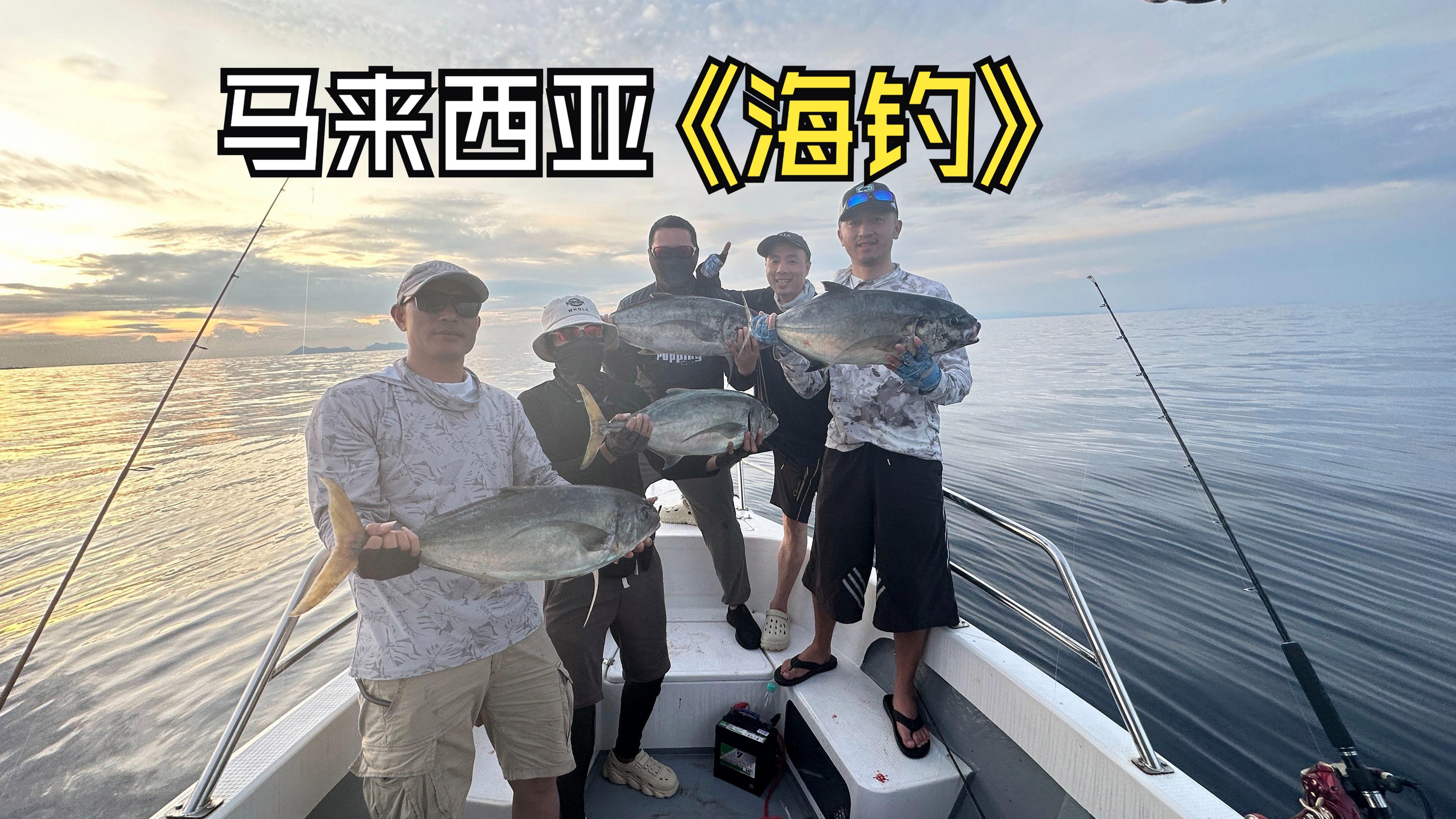 海钓活饵钓鱼视频(海竿活饵线组) 海钓活饵钓鱼视频(海竿活饵线组)