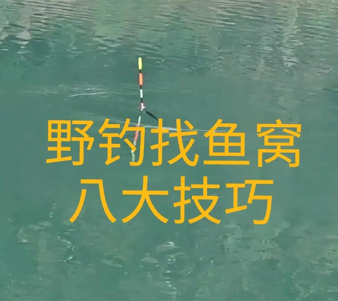 河流垂钓技巧(河流垂钓技巧视频) 河流垂钓技巧(河流垂钓技巧视频)