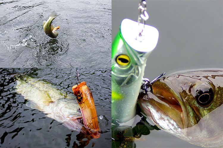 拟饵添加饵料(拟饵好使吗) 拟饵添加饵料(拟饵好使吗)