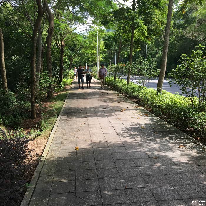 仙人石海钓公园改造(码头潭的主题公园图片) 仙人石海钓公园改造(码头潭的主题公园图片)