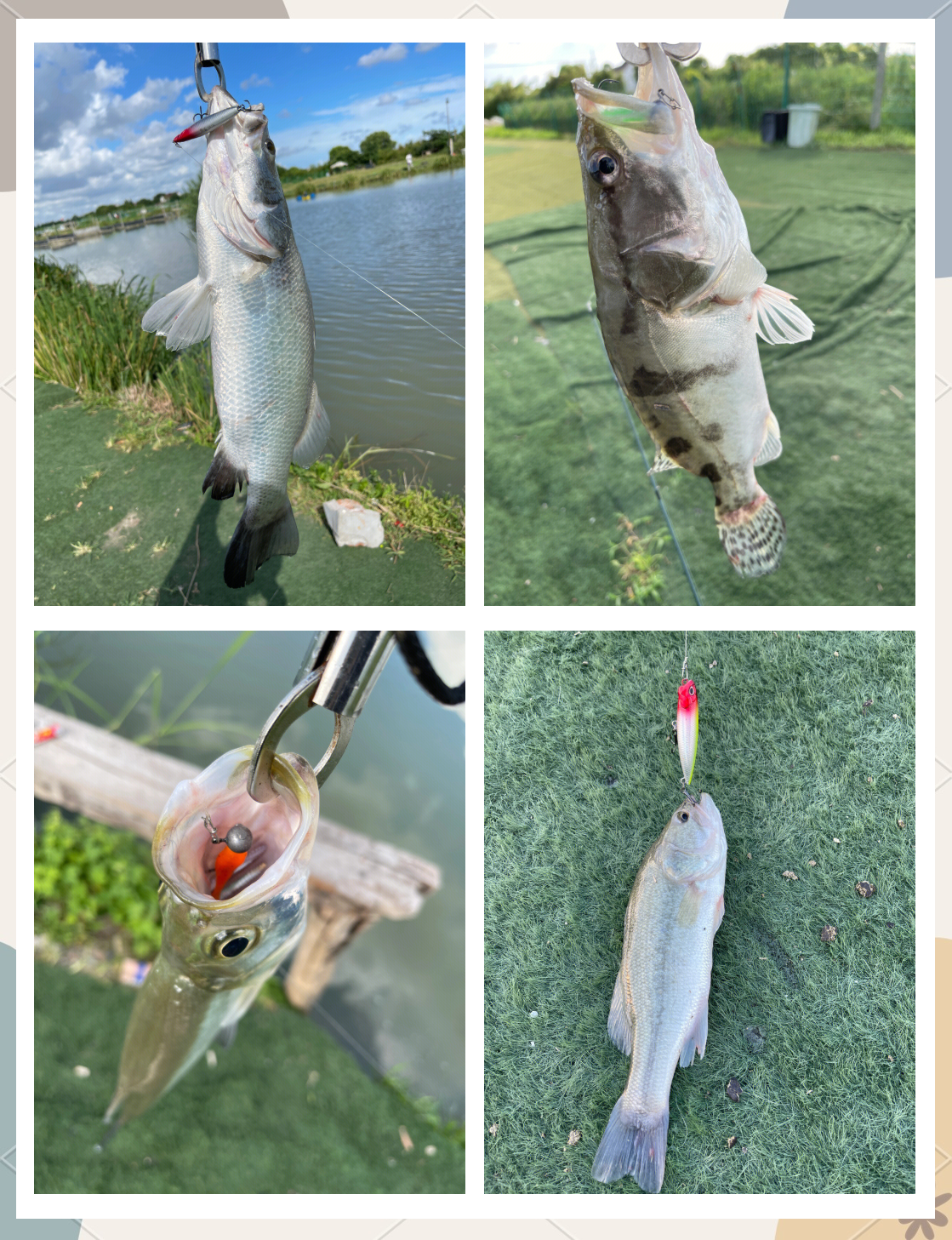 中山哪里有的路亚(中山哪里玩路亚) 中山哪里有的路亚(中山哪里玩路亚)