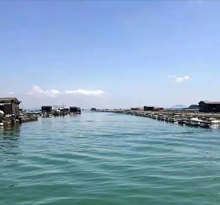 饶平海钓好去处(饶平那里有海)
