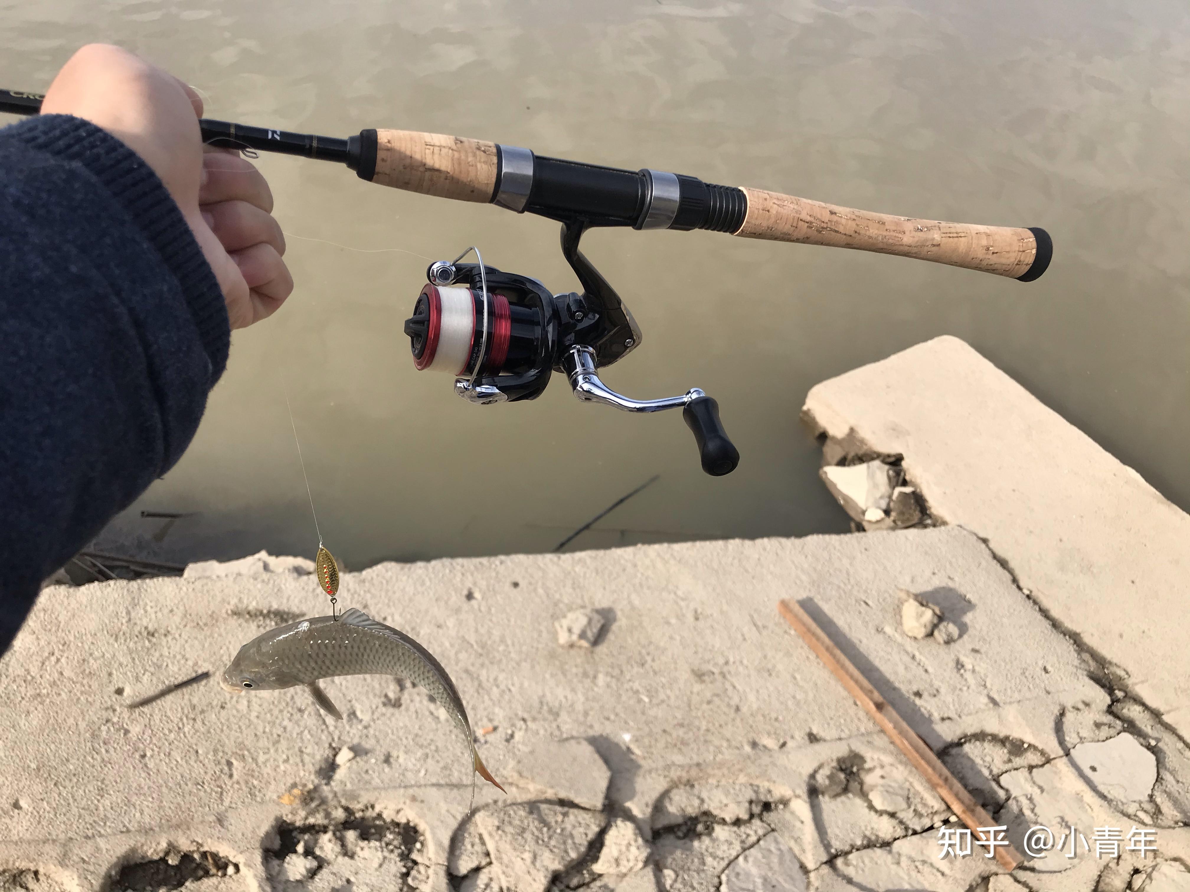 路亚下沉深度(路亚下沉式轮座) 路亚下沉深度(路亚下沉式轮座)