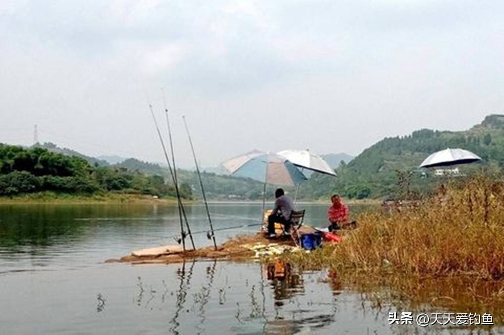 钓嘎鱼绝密技巧(钓嘎鱼用什么钓) 钓嘎鱼绝密技巧(钓嘎鱼用什么钓)