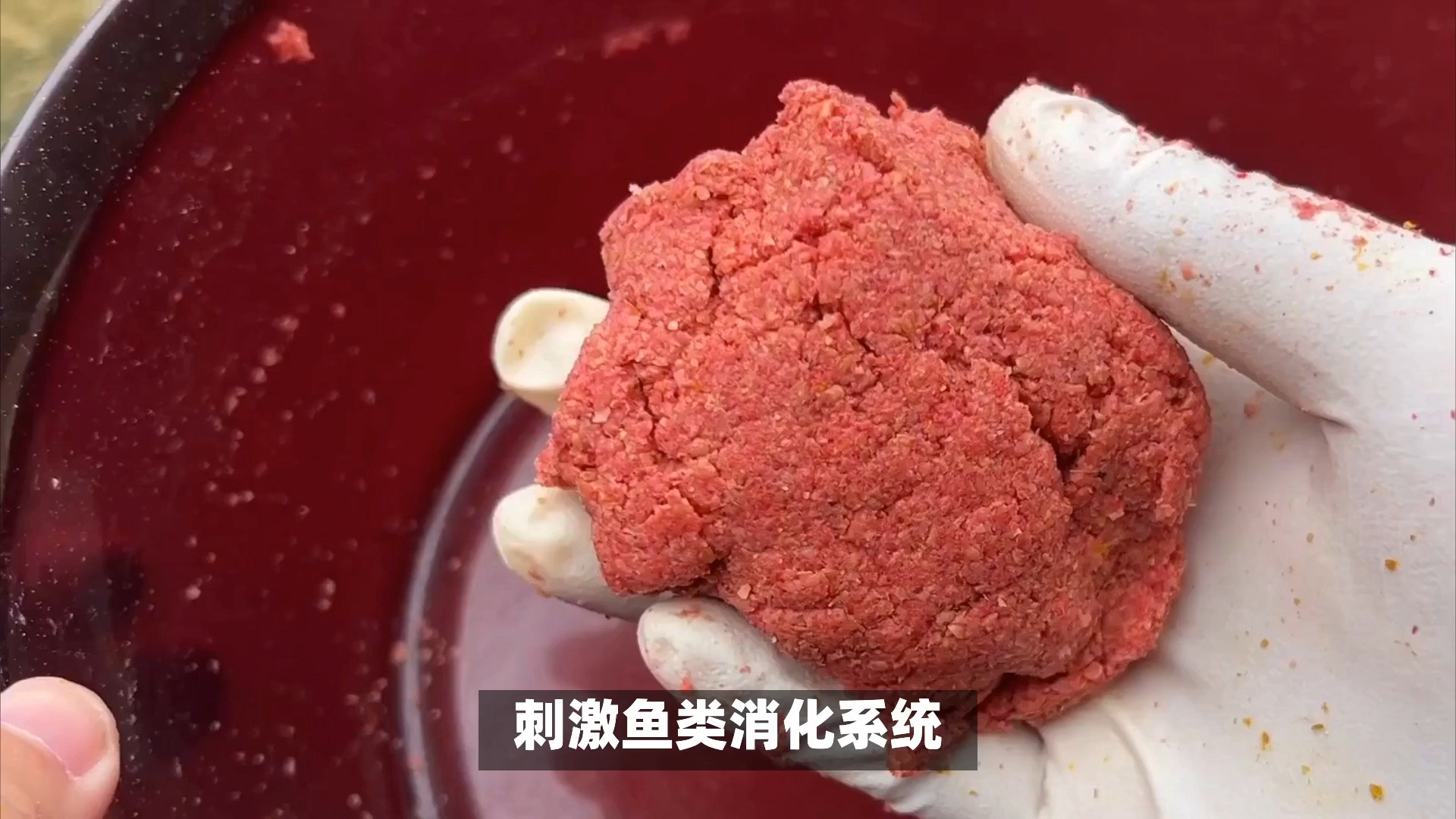 夏天肥水饵料(肥水饵料怎么搭配) 夏天肥水饵料(肥水饵料怎么搭配)