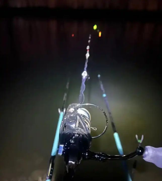 夜晚路亚翘嘴技巧视频(夜晚路亚翘嘴最佳假饵)