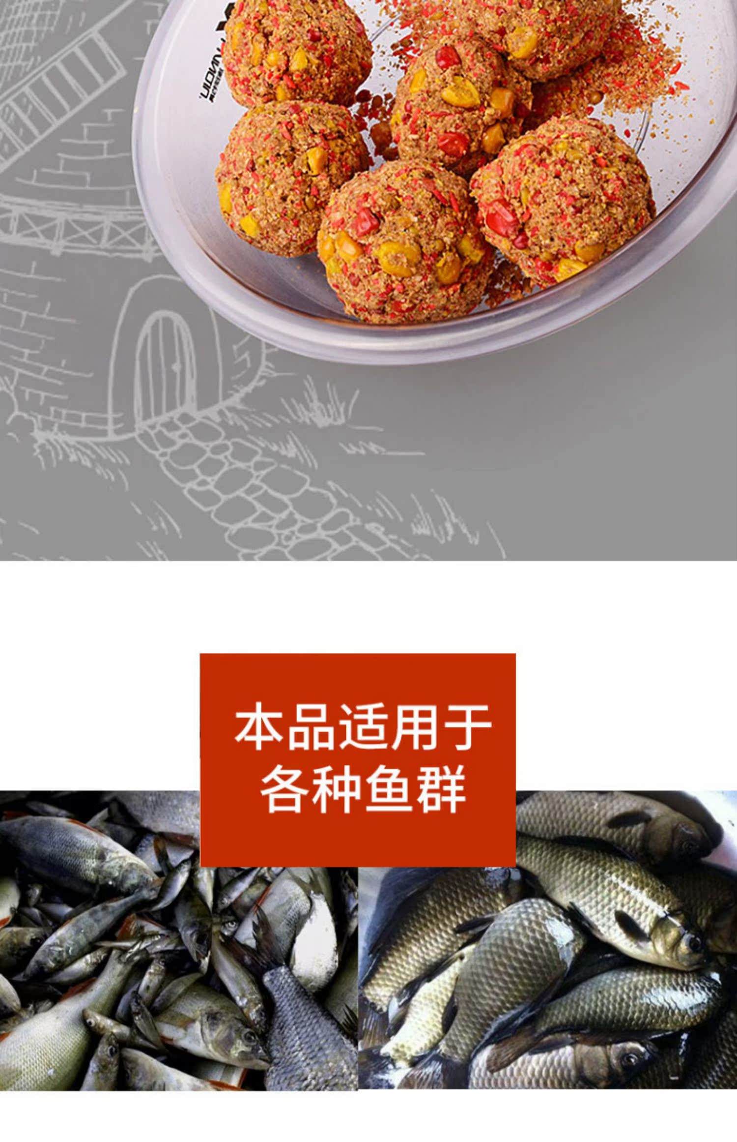 青鱼鲤鱼饵料(青鱼饵料最好的选择) 青鱼鲤鱼饵料(青鱼饵料最好的选择)