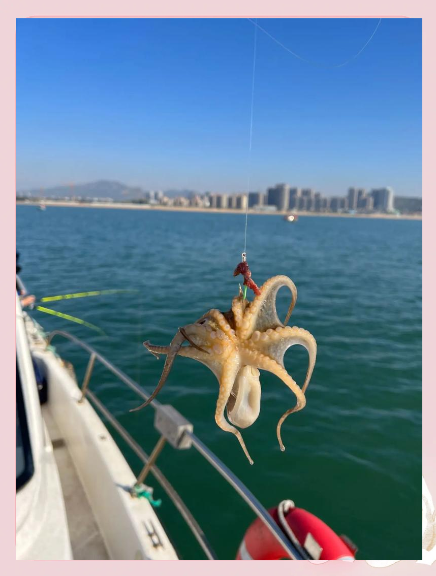 威海钓豪(威海海钓岸钓地点) 威海钓豪(威海海钓岸钓地点)