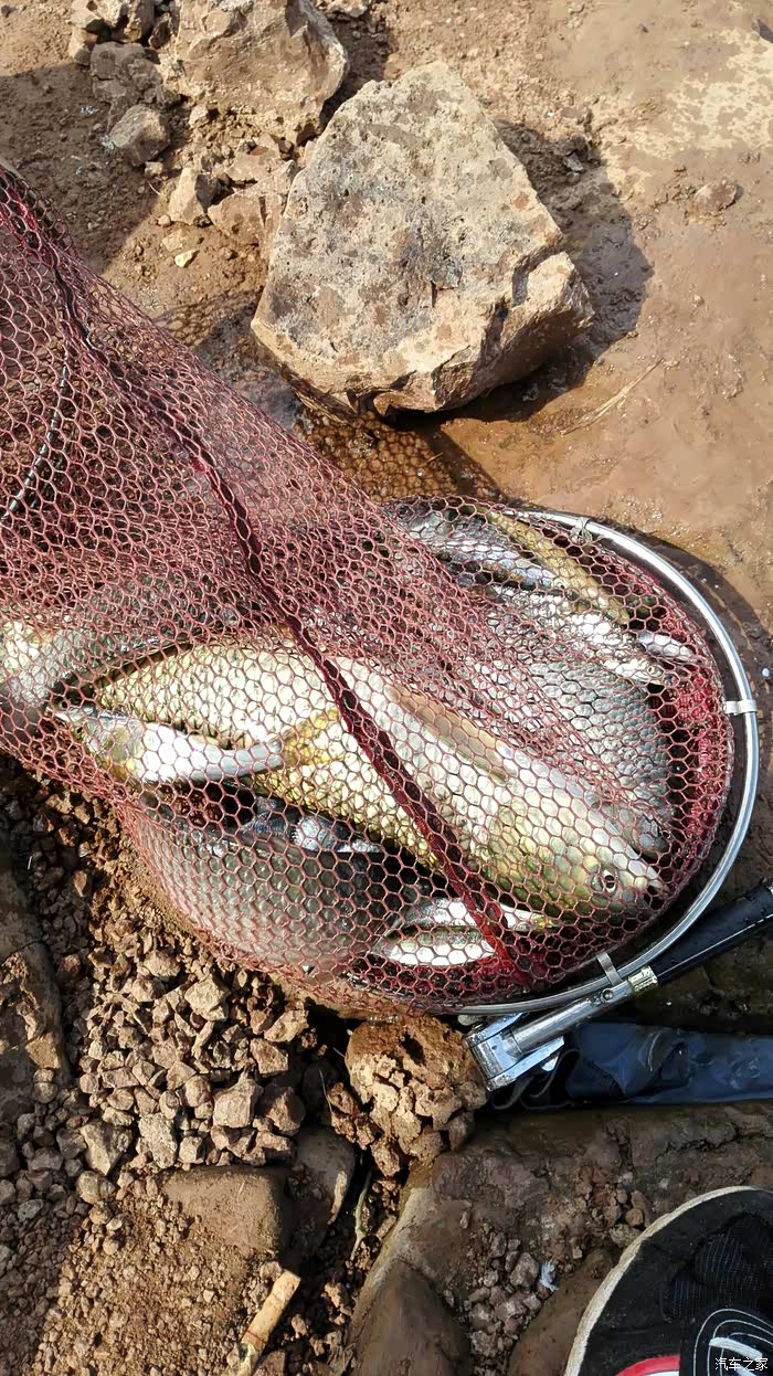 镇海钓鱼论坛(宁波镇海哪里好钓鱼) 镇海钓鱼论坛(宁波镇海哪里好钓鱼)